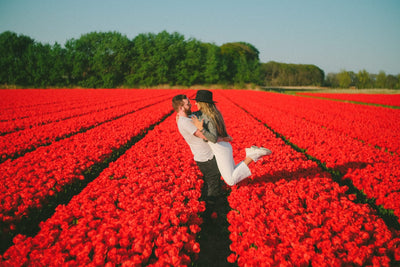 TOP 15 PLACES TO POP THE QUESTION