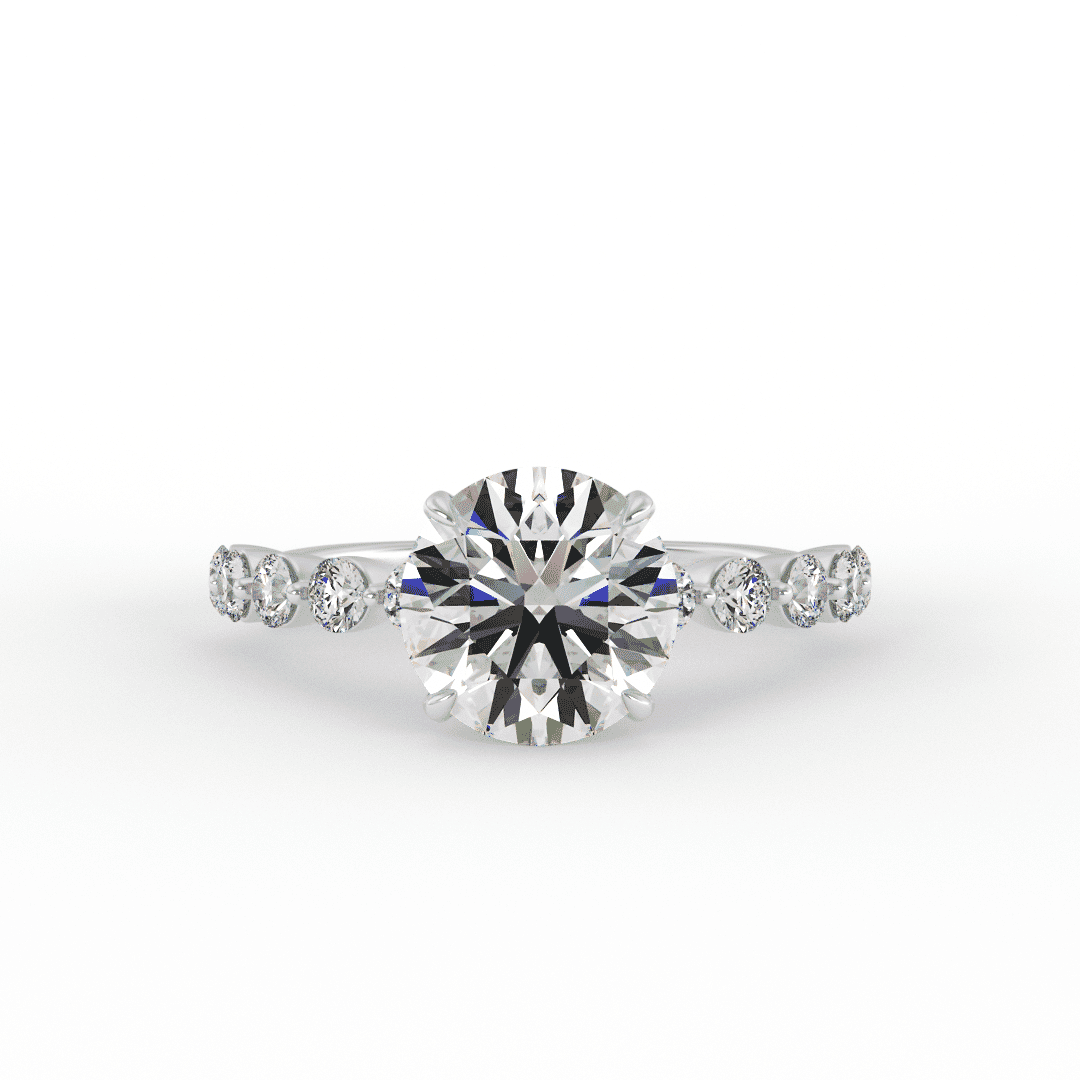Lab Grown Roni Brilliant Round Engagment Ring