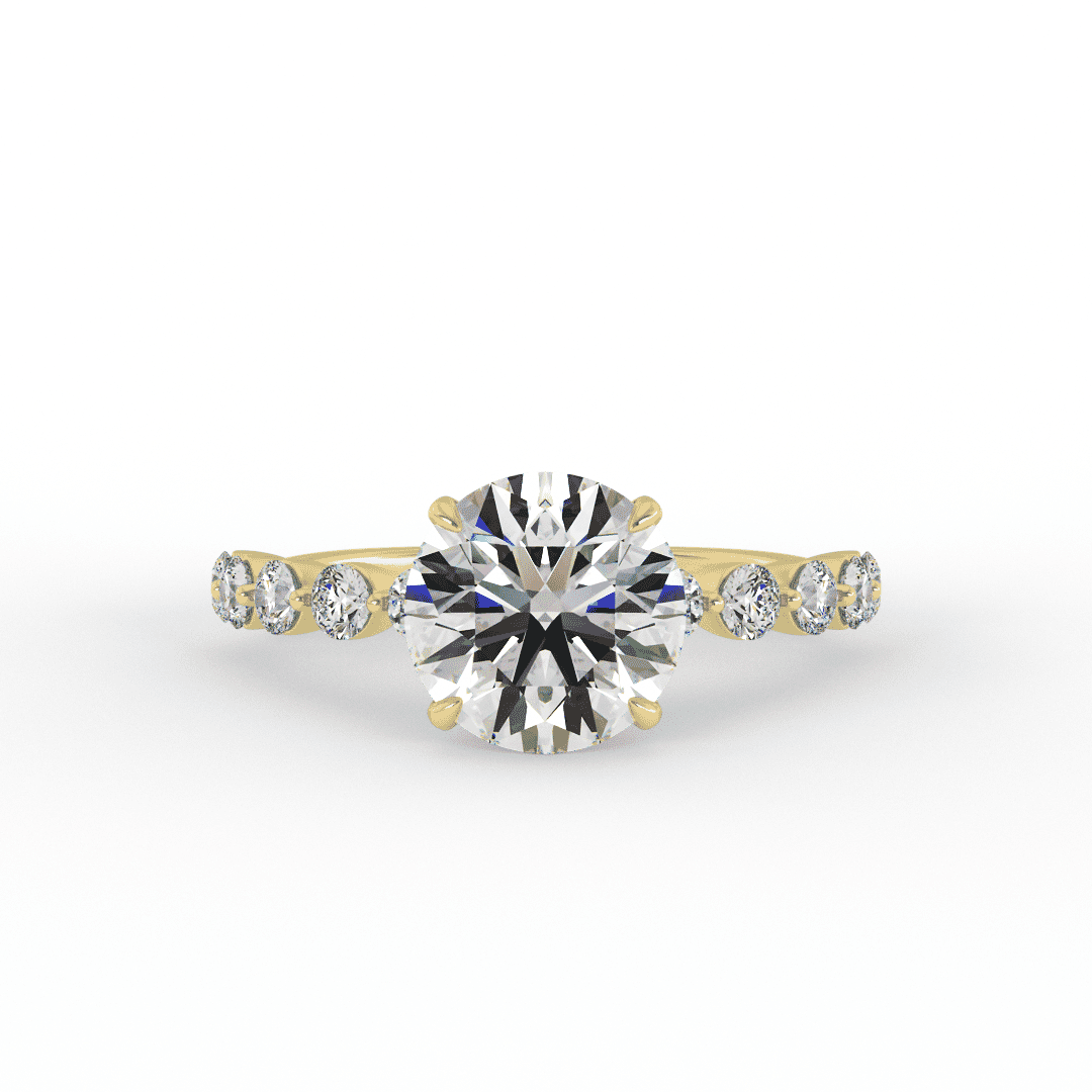 Lab Grown Roni Brilliant Round Engagment Ring